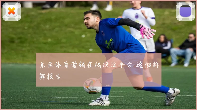 乐鱼体育营销在线投注平台 透彻拆解报告