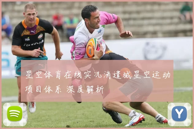 星空体育在线实况消遣城星空运动项目体系 深度解析