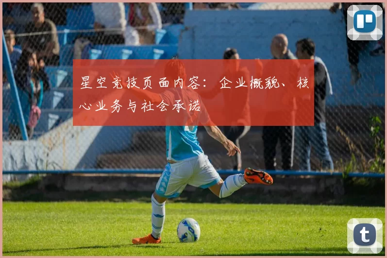 星空竞技页面内容：企业概貌、核心业务与社会承诺
