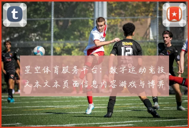 星空体育服务平台：数字运动竞技文本文本页面信息内容游戏与博弈的机会与困难